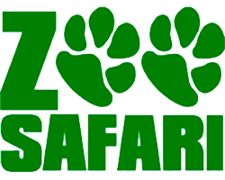 Zoo Zafari